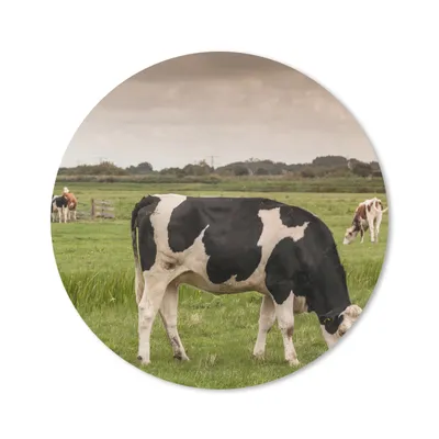 Produktbild von MuchoWow® Mauspad Mousepad Kühe - Mühle - Niederlande 20x20 cm - Mousepads - Maus Mat - Pad - Mausunterlage - Schreibtischmatte