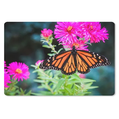 Produktbild von MuchoWow® Mauspad Mousepad Schmetterling - Botanisch - Blume 27x18 cm - Mousepads - Maus Mat - Pad - Mausunterlage - Büroartikel - Desk Matten