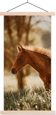 Produktbild von MuchoWow® Textilposter Pferd - Licht - Wiese 60x120 cm mit holzfarbenen Rahmen - Holz