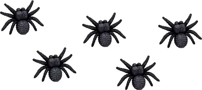 Produktbild von 5 Stück - Spinne Radiergummi Radierer 3cm