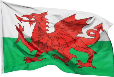 Produktbild von PHENO FLAGS Wales Flagge 90 x 150 cm Walisische Drache Fahne Wappen 2 Ösen