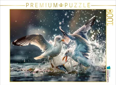 Produktbild von CALVENDO Puzzle Beeindruckende Flügelakrobatik | 1000 Teile Lege-Größe 64x48cm Foto-Puzzle für glückliche Stunden