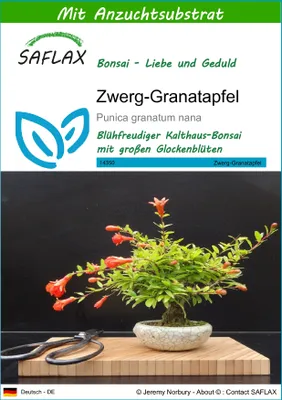 Produktbild von SAFLAX - Bonsai - Zwerg-Granatapfel - 50 Samen - Mit keimfreiem Anzuchtsubstrat - Punica granatum nana