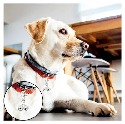 Produktbild von 2 Stück Halsbandglocken für Hunde und Katzen – Robuste Klingeln zur Ortung mit sicheren Druckverschlüssen. Praktisches Zubehör für blinde Hunde und kleine Haustiere.