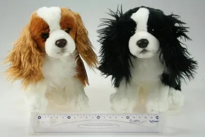 Image de Chien en peluche