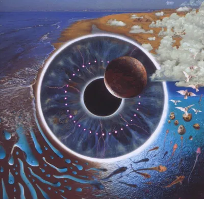 Produktbild von Pink Floyd-Pulse