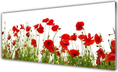Imagen del producto de Panel de vidrio para cocina, 125x50 cm, protector contra salpicaduras, diseño de amapolas y plantas