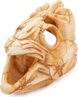 Produktbild von Happet Aquarium Ornament U776 Fischschädel 11 cm