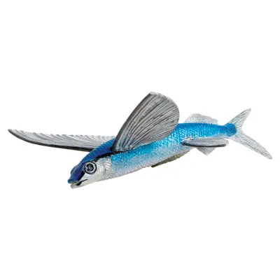 Produktbild von Safari Ltd Flying Fish Blue / Grey One Size