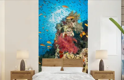 Produktbild von MuchoWow® Fototapete für Wohnzimmer oder Schlafzimmer Wandtapete Vinyl Motivtapete Koralle mit Fischen - 120x240 cm - Hintergrundbild