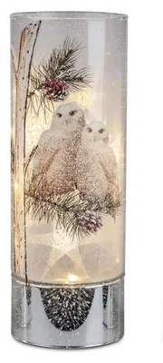 Produktbild von 1 Stck.Deko-Licht mit Eulen Motiv 20cm mitLED-Licht + Timer 15cm aus Farbglas in geeister Optik