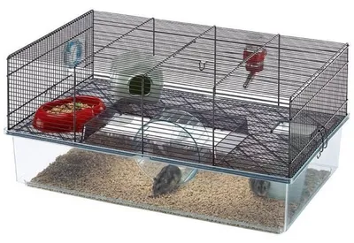 Image de Ferplast Cage Favola noir