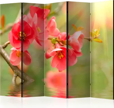 Image de Cloison acoustique Paravent photo fleurs 225 x 172 cm imprimé recto-verso sur toile intissé Cloison en mousse acoustique Paravent espagnol Brise-vue Bureau à domicile Nature Botanique Eau b-C-0477-z-c