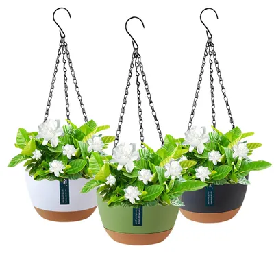 Produktbild von Hängetopf Blumentopf Hängeblumentopf - Kunststoff - Metallkette - 3 Stück