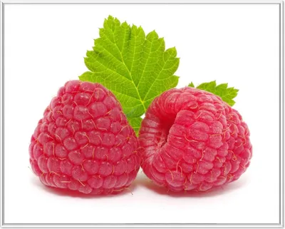 Produktbild von Wallario Wandbild Himbeeren mit grünem Blatt auf weißem Grund, Größe: 40,30 x 50,30 cm, Poster mit weißem Aluminiumrahmen