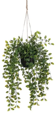 Produktbild von Mica Decorations Ficus hängende Kunstpflanze im Topf - H46 x Ø10 cm - Grün