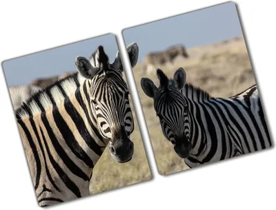 Produktbild von Tulup Glas Herdabdeckplatte - 2x40x52 cm - Glaskeramikkochfeld-Abdeckung Spritzschutz Glasabdeckplatte Kochplattenabdeckung und Schneidebrett - Zweiteilig - Tiere - Zwei Zebras - Beige