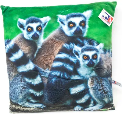 Produktbild von Stoffkissen - Lemuren - 35x35