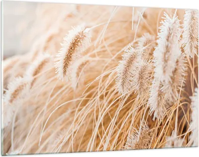Produktbild von Bilder auf glas - Einteilig - Gras Boho Licht - 120x80cm - Glasbilder - Wandbilder - Bilder - zum Aufhängen bereit - Wanddekoration aus Glas - Glas Bilder - Wandbild auf Glas - GAA120x80-4903
