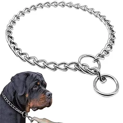Image de Solidchoice - Collier pour chien en acier inoxydable avec fonction d'entraînement et boucle pour laisse
