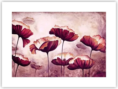 Produktbild von Poster - Poster ohne Rahmen - Mohn Blume Wiese - 40x30 cm - Wand Bild - Wanddeko - Wandbilder - Kunstposter - Wandposter - Bilder - Kunstdruck - Wanddekoration - Wandbild - P2XAA40x30-3934
