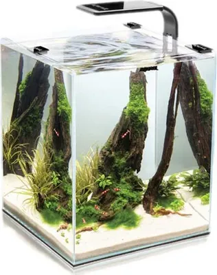 Produktbild von AQUAEL Nano-Aquarium "Shrimp Set Day & Night", 20 L, schwarz