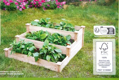 Produktbild von Stufenbeet aus Holz