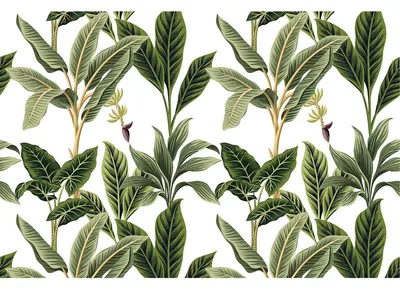 Produktbild von Tropischer Möbelaufkleber, 60 x 90 cm