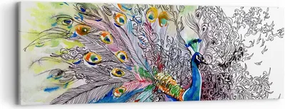 Produktbild von Bild auf Leinwand - Leinwandbild - Pfau Feder Farbe - 90x30cm - Wand Bild - Wanddeko - Wandbilder - Leinwanddruck - Bilder - Kunstdruck - Wanddekoration - Leinwand bilder - Wandkunst - AB90x30-3556