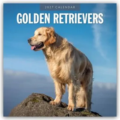 Produktbild von Golden Retrievers - Golden Retriever 2027 - 16-Monatskalender