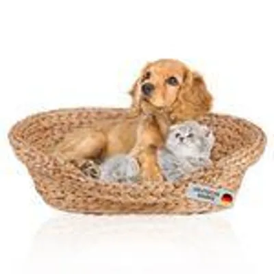 Produktbild von Lycce Katzenbett Hundebett für kleine Hunde Wasserhyazinthe | Kissen waschbar bei 30°C | leichter Einstieg | Betten, Decken & Möbel für Katzen