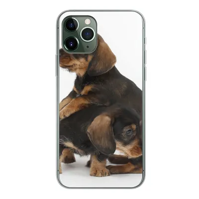 Produktbild von MuchoWow® Handyhülle Schutzhülle Hülle für iPhone 11 Pro Studiofoto von zwei süßen Dackeln Silikon Softcase Handy Hülle - Handy