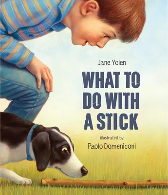Produktbild von What to Do with a Stick