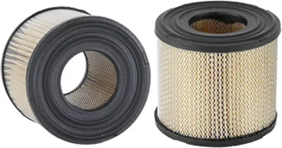 Immagine prodotto di WIX 42291 Filtro aria BriggsStratton 390930 393957 SA14524 SL1675