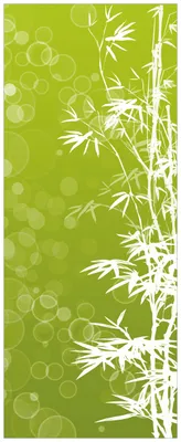 Produktbild von Wallario Premium Glasbild, freischwebende Optik, kräftige Farben, Größe 125 x 50 cm Motiv Bambusmuster grün-weiß
