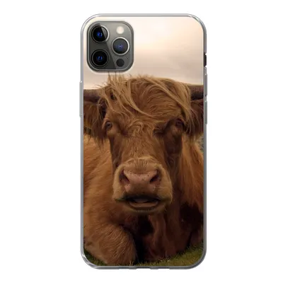 Produktbild von MuchoWow® Handyhülle Schutzhülle Hülle für iPhone 12 Pro Max Schottischer Highlander - Tiere - Berg Silikon Softcase Handy Hülle - Hartschale