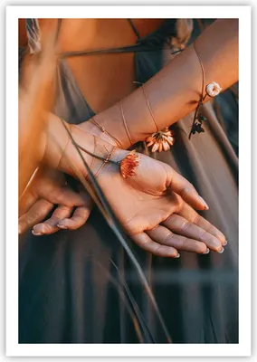 Produktbild von Poster - Poster ohne Rahmen - Frau Hände Wiese - 70x100 cm - Wand Bild - Wanddeko - Wandbilder - Kunstposter - Wandposter - Bilder - Kunstdruck - Wanddekoration - Wandbild - P2XPA70x100-5126