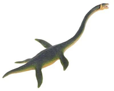Image de Dinosaure Elasmosaurus Figurine de jeu 25cm - Safari 302429