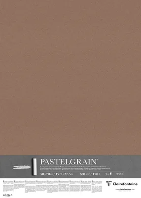 Produktbild von Clairefontaine PastelGrain 50x70cm 5 Bogen 360g - Braun 976068C