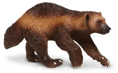 Produktbild von Safari Ltd Wolverine Figur Braun From 3 Years Kinder Braun From 3 Years