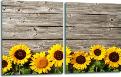 Produktbild von Herdabdeckplatten 2x40x52 Glaskeramikkochfeld 2-Teilig Glas Spritzschutz Blumen