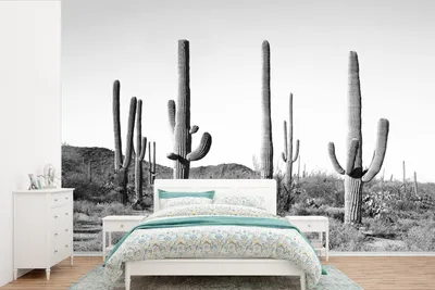 Produktbild von MuchoWow® Fototapete für Wohnzimmer oder Schlafzimmer Wandtapete Vinyl Motivtapete Kakteen - Schwarz und weiß - Natur - Landschaft - 600x400 cm - Vinyltapeten