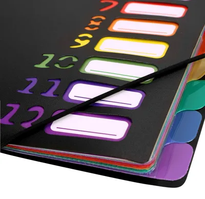 Zdjęcie produktu dla Folder projektowy A4, 12/20 przegródek, z gumką, wodoodporny, do użytku w szkole i biurze