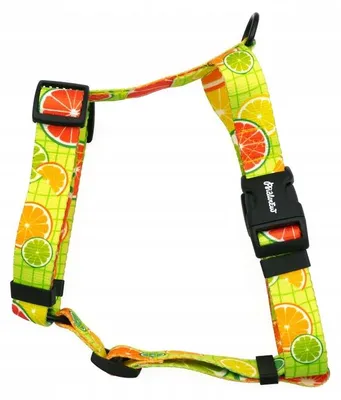 Produktbild von Psiakrew Guard Lemoniada Hundegeschirr M/L verstellbar