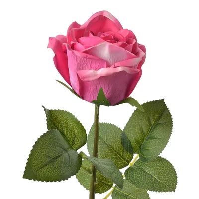Immagine prodotto di Fiore artificiale Clayre & Eef Rosa 44 cm Rosa Plastica