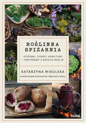 Obrázok produktu pre Roślinna spiżarnia. Kiszonki, syropy, konfitury i przyprawy z dzikich roślin