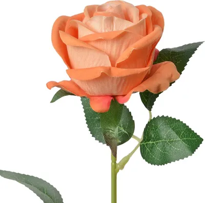 Immagine prodotto di Fiore artificiale Clayre & Eef Rosa 50 cm Arancione Plastica