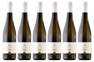 Produktbild von Silvaner süß 2024 Pfalz Weißwein Weiße Träume 6 x 0,75 l