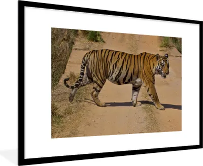 Produktbild von MuchoWow® Gerahmtes Poster Tiger - Weg - Lauf 90x60 cm - Poster mit Schwarzem Bilderrahmen Wandposter Rahmen Foto Bilder - Wanddekoration - Fotos