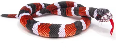 A stuffed toy snake coiled on a white background.